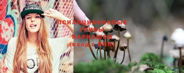 дурь Бугульма