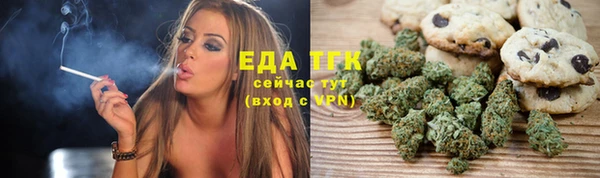 крисы Богородицк