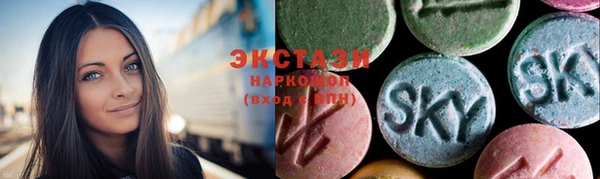 гидра Богданович