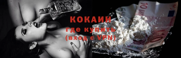 крисы Богородицк