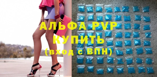 крисы Богородицк