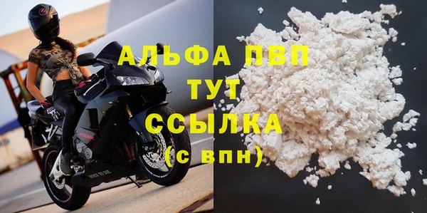 гидра Богданович