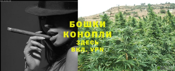 гидра Богданович