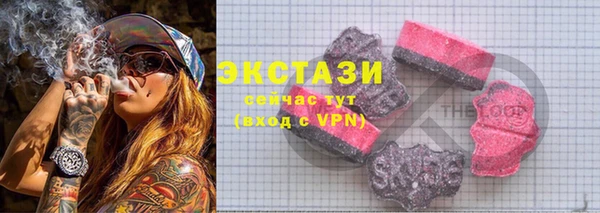 гидра Богданович