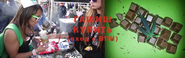 гидра Богданович
